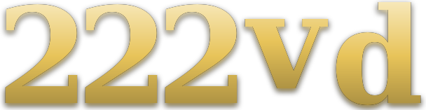 222vd logo